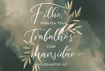 mansidao