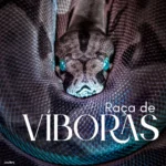 IMG 20251204 122639 458