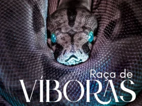 IMG 20251204 122639 458