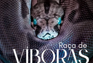 IMG 20251204 122639 458