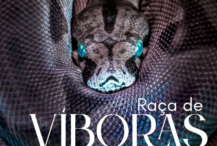 IMG 20251204 122639 458