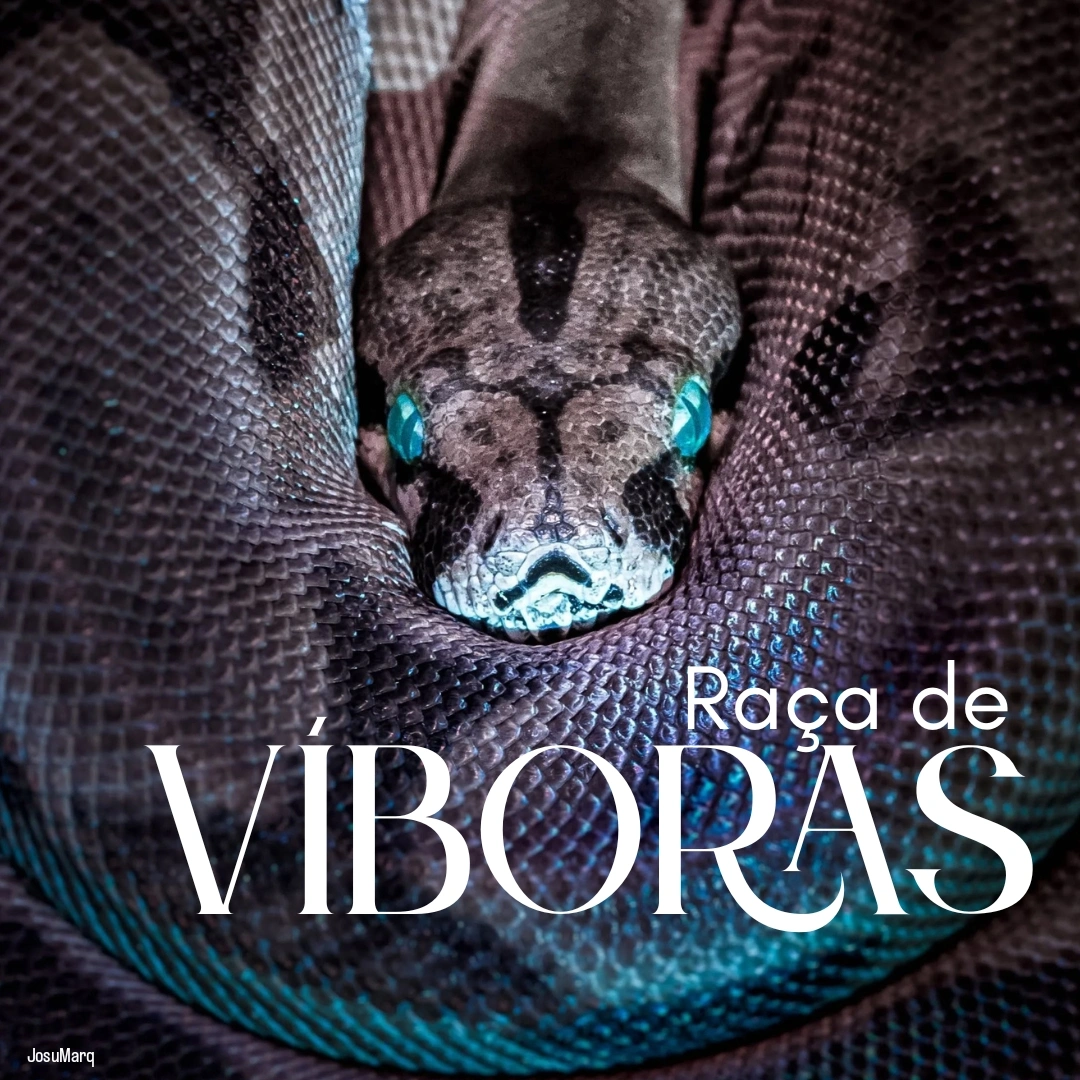 IMG 20251204 122639 458