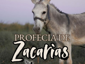 A profecia - Zacarias 9 8 Profecia de