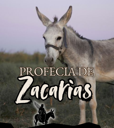 Profecia de