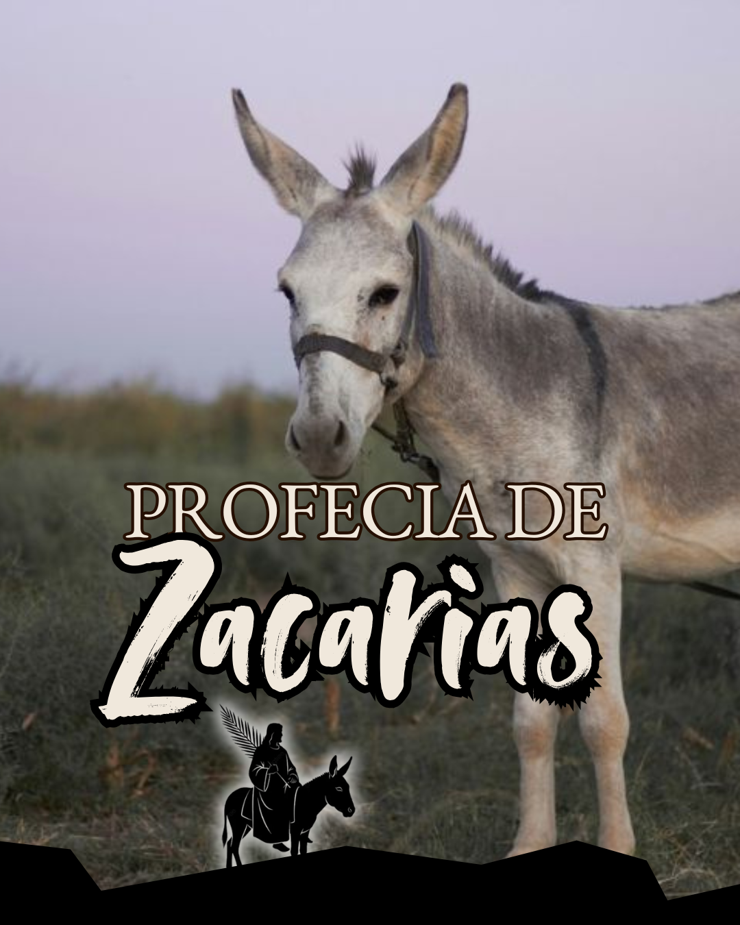 Profecia de