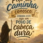 cabeca dura