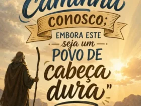 cabeca dura