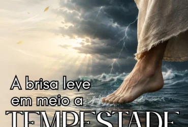 brisa