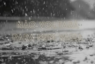 n o voltar